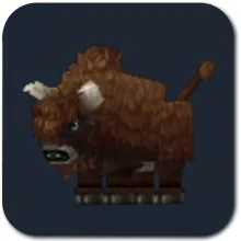 Bison