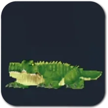 Crocodile